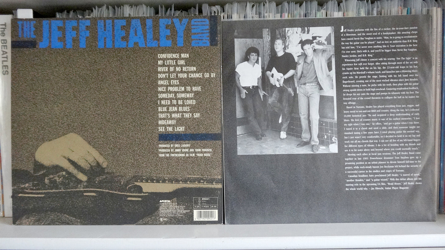 Jeff Healey Band - Into The Light, UK 1988, 209441, Ex/Ex