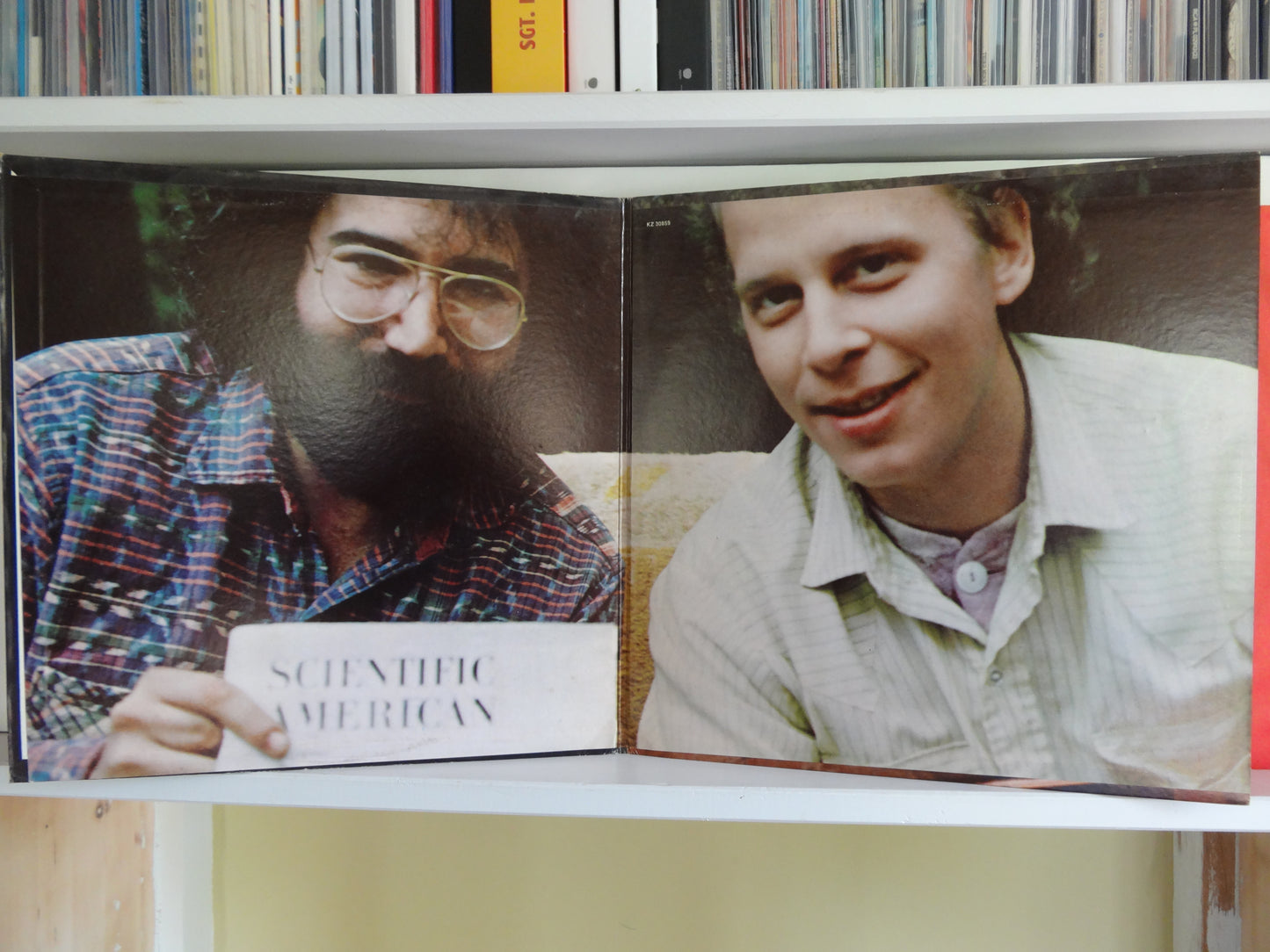 Howard Wales and Jerry Garcia - Hooteroll?, LP, US1971