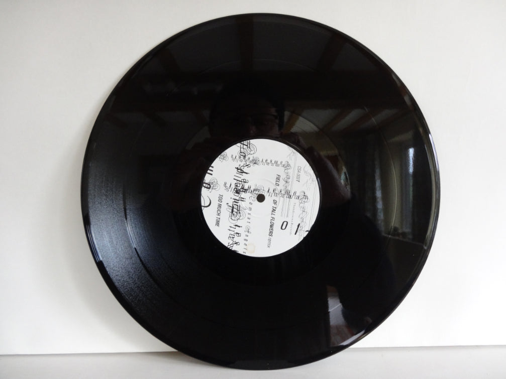 Comsat Angels - Field Of Tall Flowers, 12"EP, UK1993